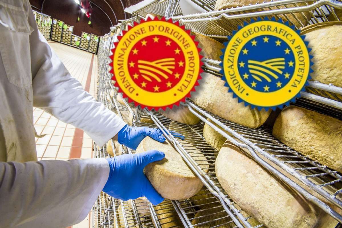 produtor de queijo segurando um pedaço de queijo com denominação de origem protegida